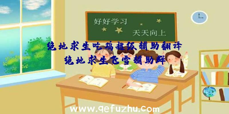 「绝地求生吃鸡超级辅助翻译」|绝地求生飞雪辅助群